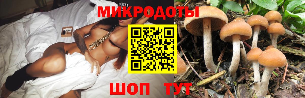 Новосибирск  Галлюциногенные грибы мицелий  Псилоцибиновые грибы прущие грибы  Вход с VPN 